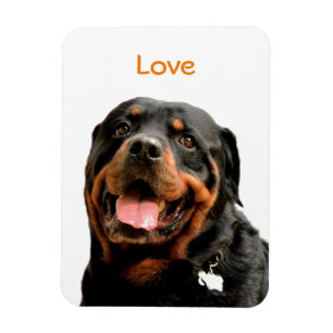 Magnet photo Rottweiler