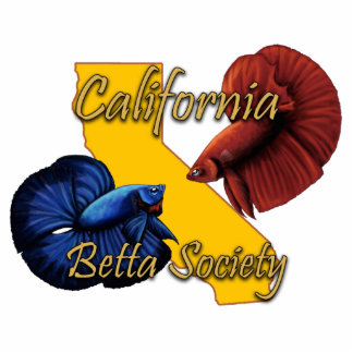 Magnet Photo Sculpture Aimant de CBS