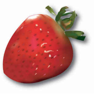 Magnet Photo Sculpture Aimant de fraise d'été