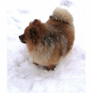 MAGNET PHOTO SCULPTURE AIMANT DE SCULPTURE EN POMERANIAN