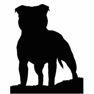 Magnet Photo Sculpture Aimant de voiture