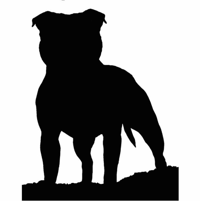 Magnet Photo Sculpture Aimant de voiture (Devant)