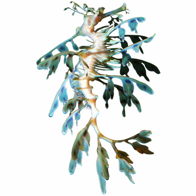 Magnet Photo Sculpture Aimant/sculpture feuillus de coupe-circuit de (Devant)