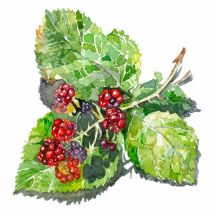 Magnet Photo Sculpture BlackBerry