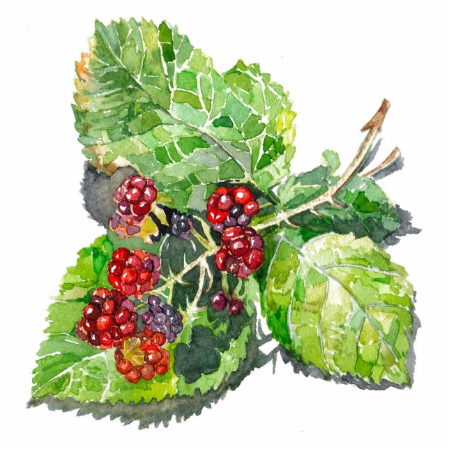 Magnet Photo Sculpture BlackBerry (Devant)