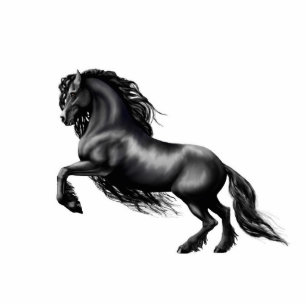 Magnet Photo Sculpture Cheval de Frieisian, étalon noir