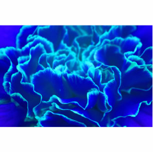 Magnet Photo Sculpture Fleur d'oeillet bleu et Turquoise