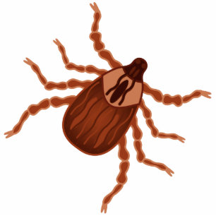 Magnet Photo Sculpture Illustration réaliste Crawly de coutil
