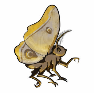 Magnet Photo Sculpture Moth