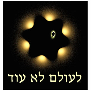 Magnet Photo Sculpture Never Again Fractal Star Of David