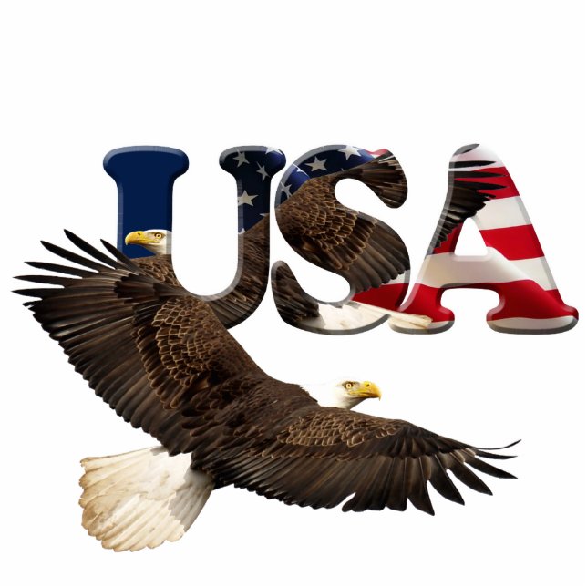 Magnet Photo Sculpture Patriotique Flying Bald Aigle & Drapeau Sculpté Ca (Devant)