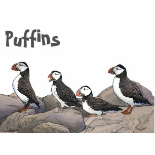 Magnet Photo Sculpture Puffins de l'Atlantique