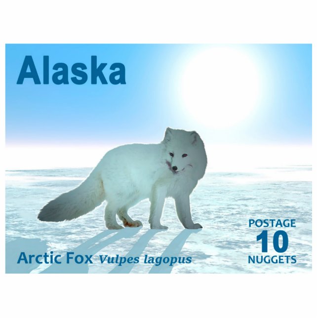 Magnet Photo Sculpture Renard arctique - Alaska Postage (Devant)