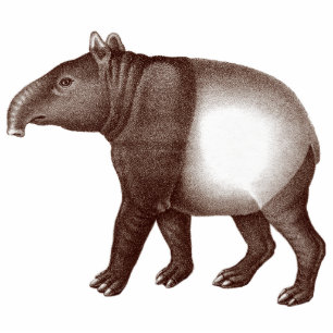 Magnet Photo Sculpture Tapir malais/aimant asiatique de tapir pour votre