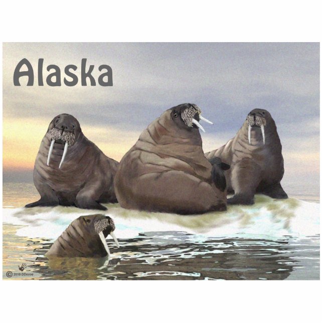 Magnet Photo Sculpture Walrus - Quatre frères (Devant)