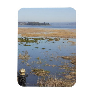 Magnet photo souple à haute pression de Morecambe 