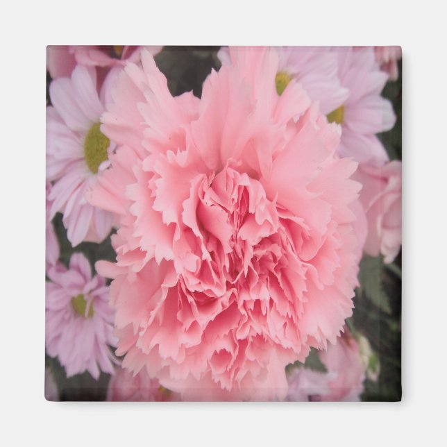 Magnet Pink Carnation Beauty (Vorne)