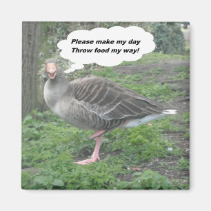 Magnet Poem Duck Zitat Ladee Basset