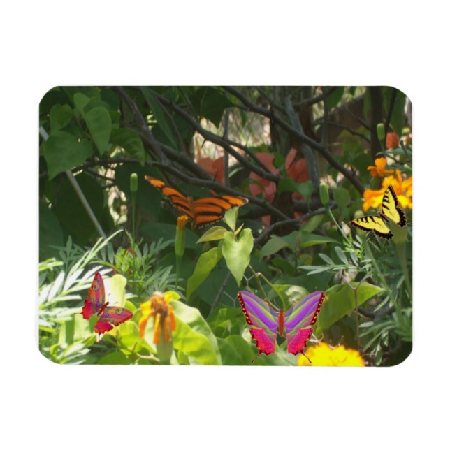 Magnet Premium feuilles et papillons (Horizontal)