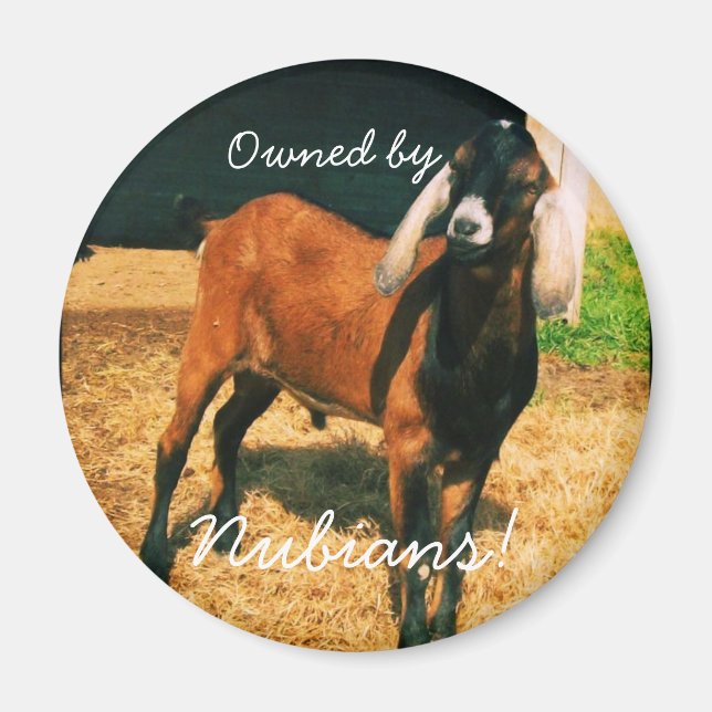 Magnet - Propriété des Nubiens ! (Devant)