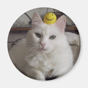 Magnet "Purrl"