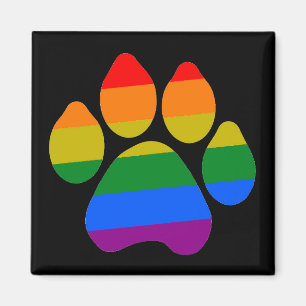 Magnet-Rainbpw-Paare Magnet