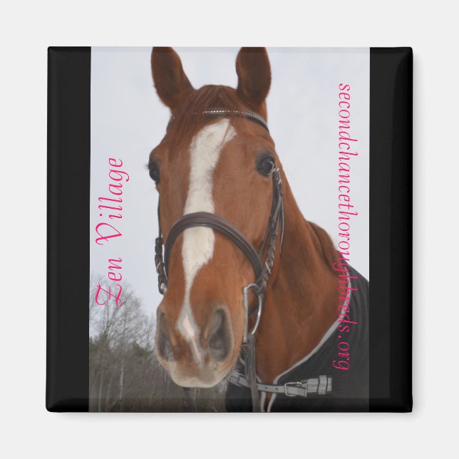 Magnet-Reihe - Zen-Dorf Magnet (Vorne)