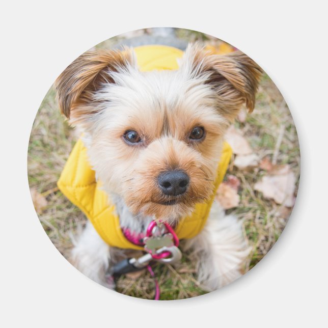 Magnet rond (Devant)