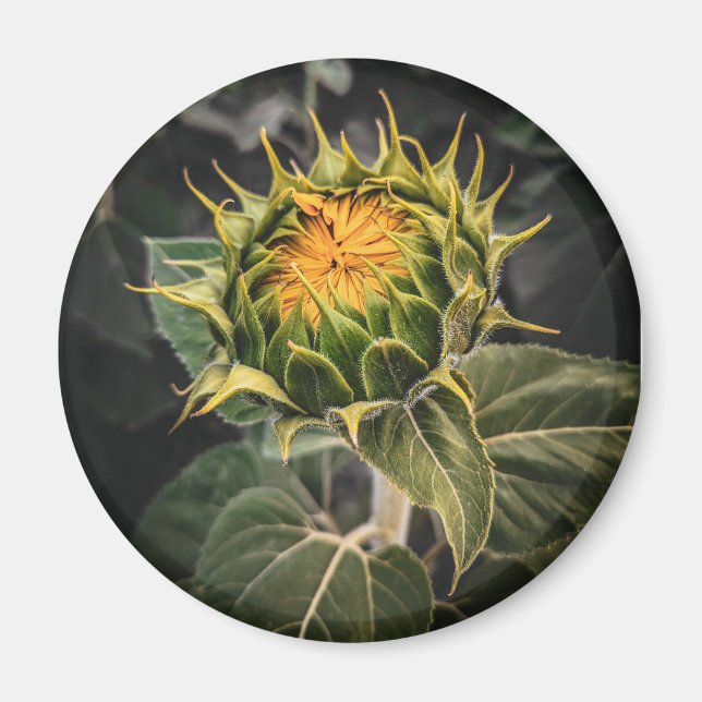 Magnet rond (Devant)