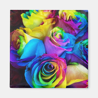 Magnet Rose arc-en-ciel