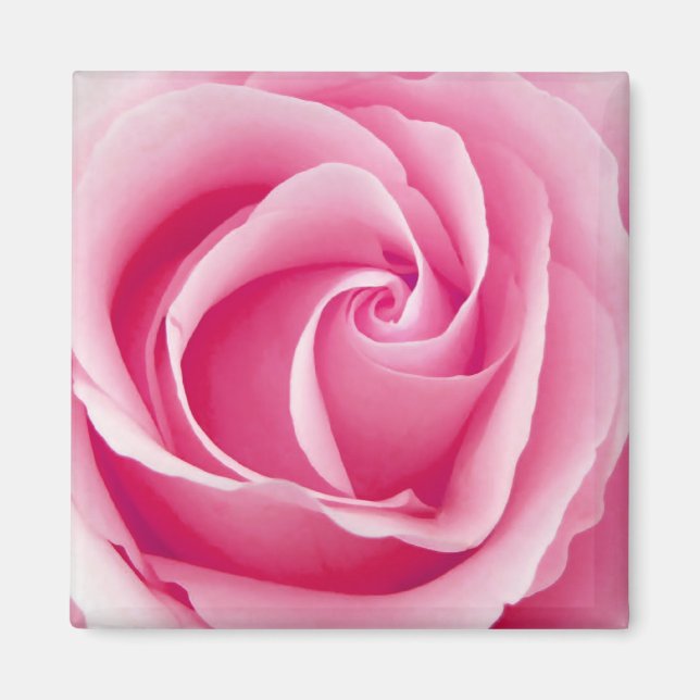 Magnet Rose de la dame rose - Carré (Devant)