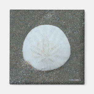 Magnet - Sand-Dollar