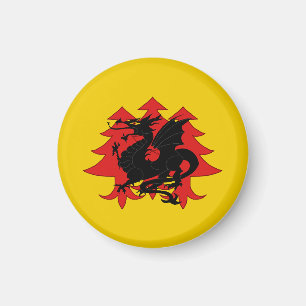Magnet SCA Drachenwald