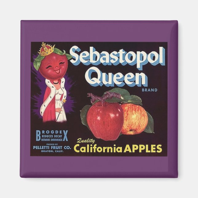 MAGNET ~ SEBASTOPOL QUEEN APPLES ÉTIQUETTE VINTAGE (Devant)
