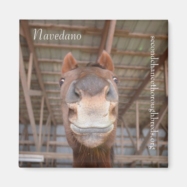 Magnet Series - Navedano (Devant)