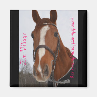 Magnet Series - Zen Village