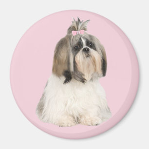 Magnet Shih Tzu