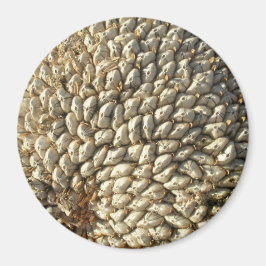 Magnet - Sonnenblumengeometrie