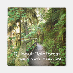 Magnet souvenir—Quinault Rainforest, NP olympique