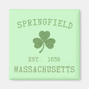 Magnet Springfields MA