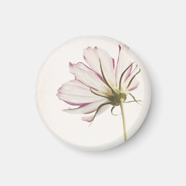 Magnet "Stand in Licht" (Vorne)