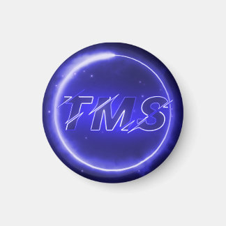 Magnet TMS