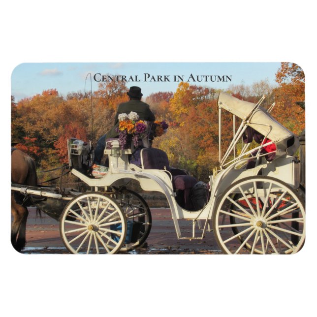 Magnet — Transport dans NYC Central Park (Horizontal)