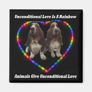 Magnet Unbedingte Liebe Ist Ein Regenbogen