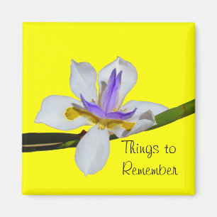 Magnet - Viertelstunde Lilly