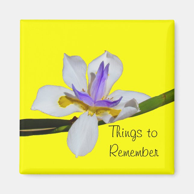 Magnet - Viertelstunde Lilly (Vorne)