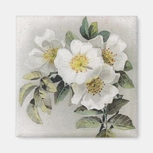 Magnet vintage de fleurs Apple