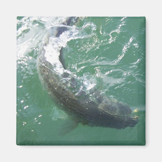 Magnet-Vorlage Magnet (Vorne)