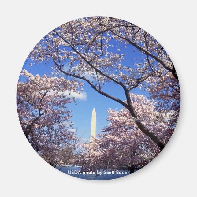 Magnet / Washington Monument (Vorne)