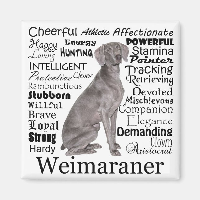 Magnet Weimaraner (Devant)
